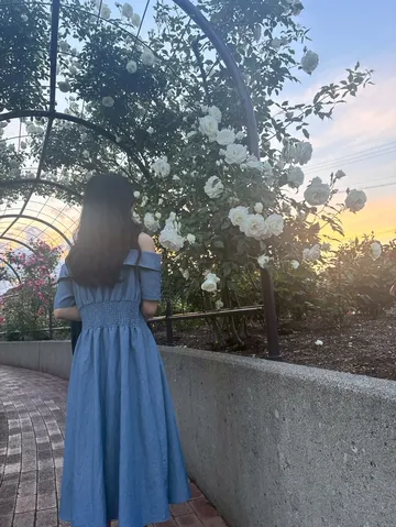 夕陽に輝く白薔薇のアーチ