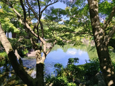水面に揺れる木陰の涼