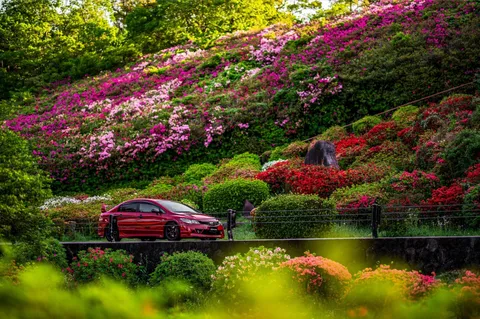 絶景と溶け合う真紅の車