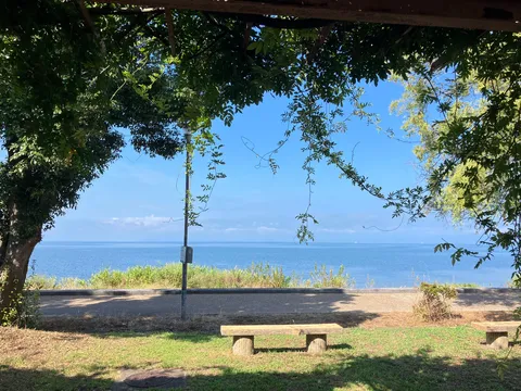 海風と木陰の静かなひととき