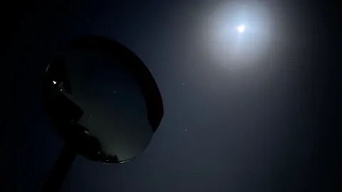 月夜の静かな観察者