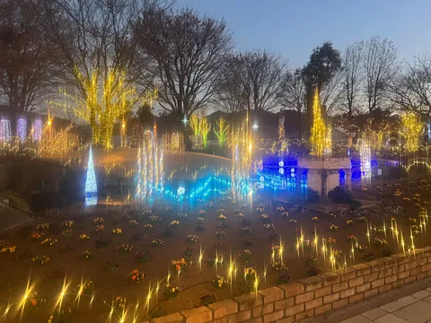 幻想的な光の庭園