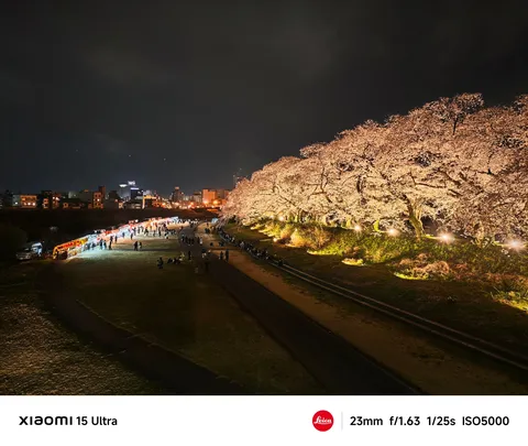 煌めく夜桜と宵の賑わい