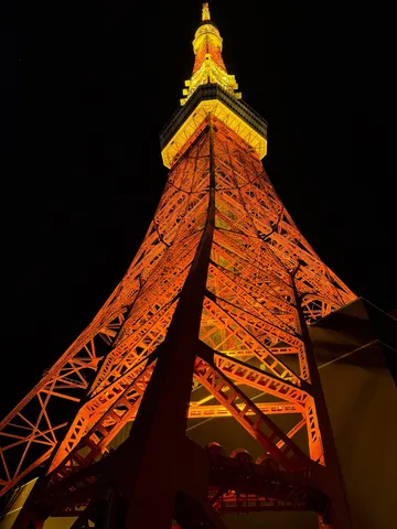 夜空に灯る光の塔