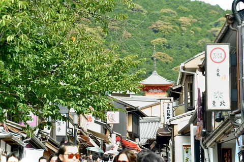 新緑と古都の風景