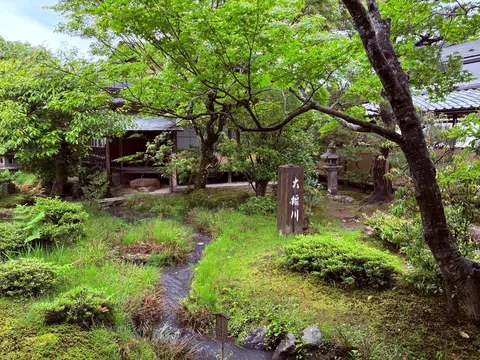 木漏れ日と古都の小道