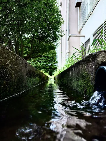 都会のオアシス、水路の風景