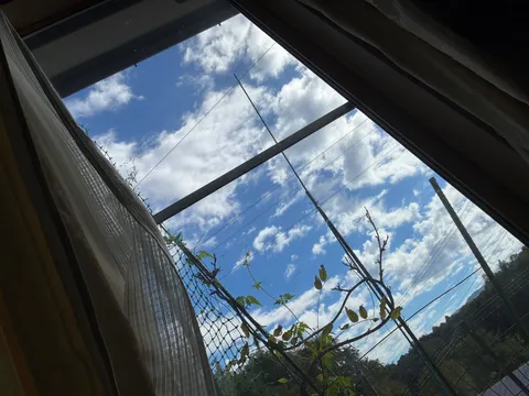 窓辺に流れる青い風景