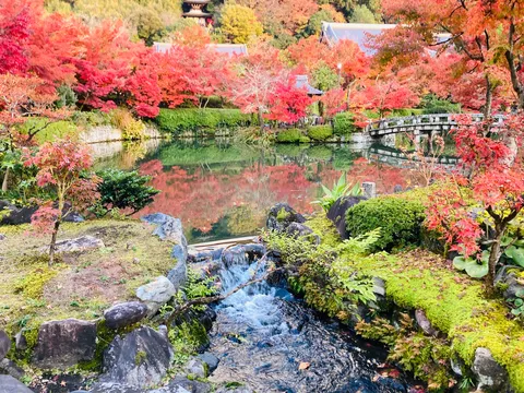 錦秋を映す水鏡