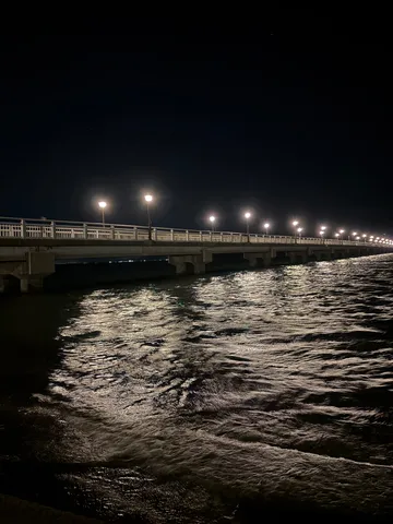 夜の静寂、灯る橋と波の戯れ