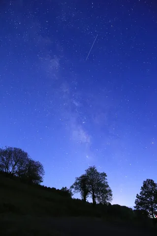 星降る夜、樹々のシルエット