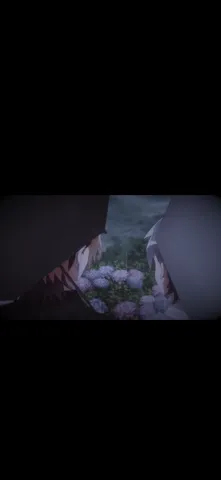 隔たれた視線と紫陽花