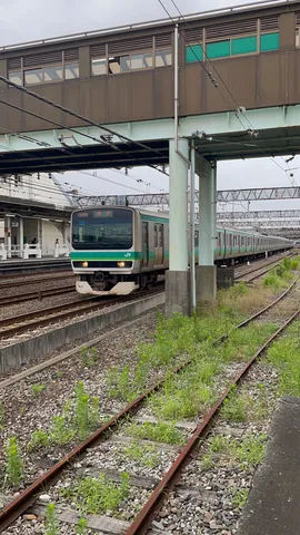 緑と鉄路の朝の線路