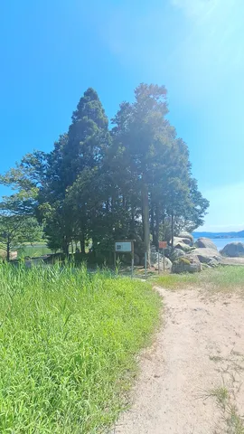 緑と青空、静かな水辺の風景
