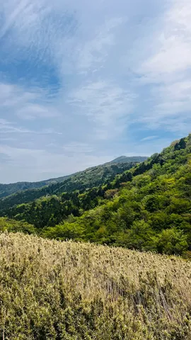 新緑の山道、風にそよぐ草原