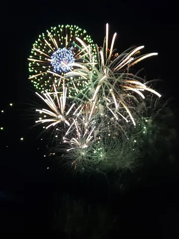 夜空を彩る、光の華