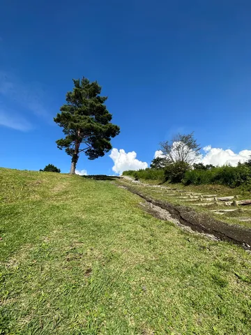 風薫る丘の階段道