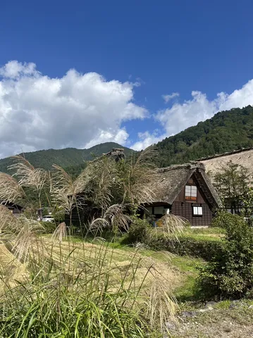 日本の原風景、茅葺きの郷