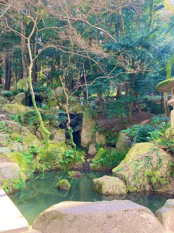 庭園の主は苔と小石？