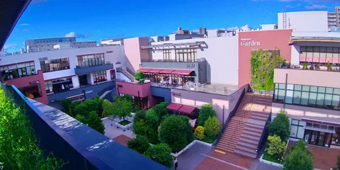 緑と空と建物のコントラスト
