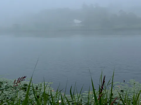 霧に包まれた湖畔の朝