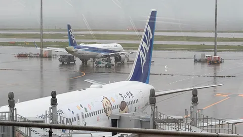 雨の滑走路に映える飛行機