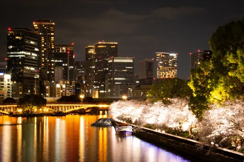 夜桜と都会、映り込みまでガチ