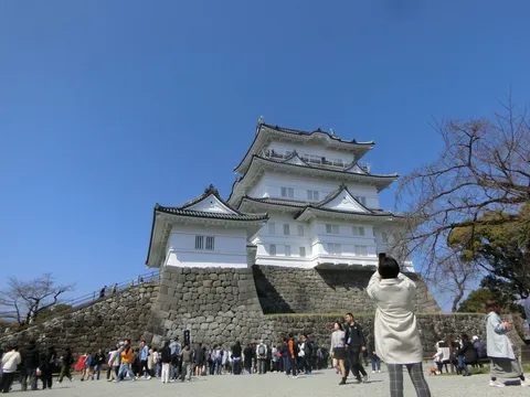 晴れた日の白亜の城と賑わい