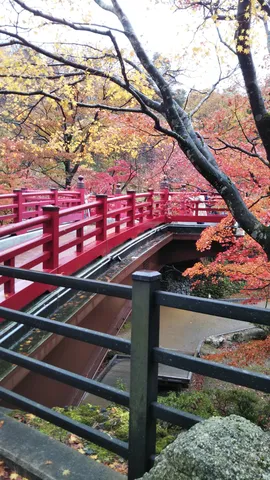 紅葉を渡る赤い橋