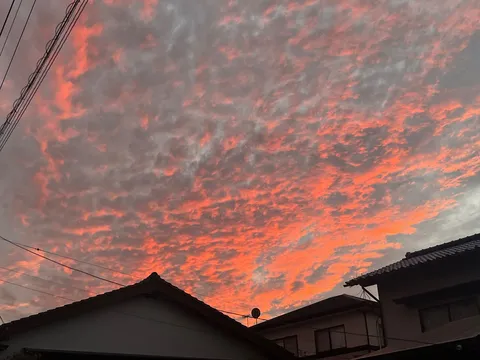 燃えるような空と屋根のシルエット