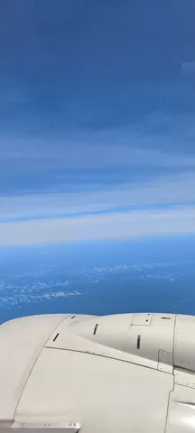 翼と空の静かな航路
