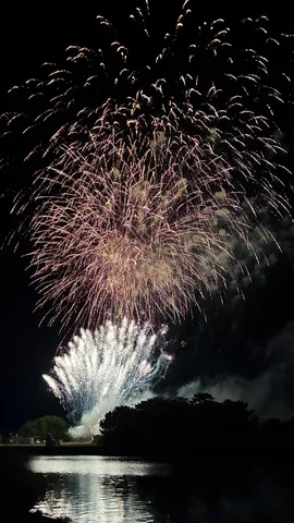 夜空に咲く光の花束