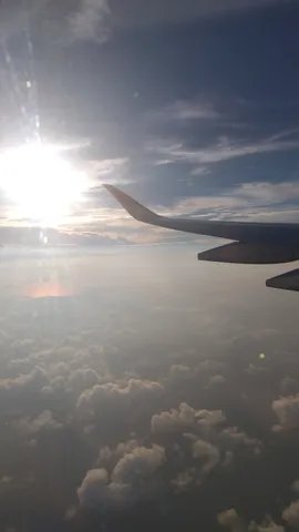 翼と眩しい太陽の雲海