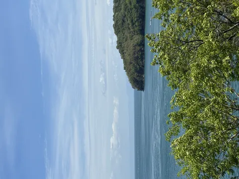 木々の隙間から望む青い海
