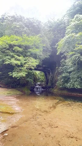 緑と水が紡ぐ洞窟の景