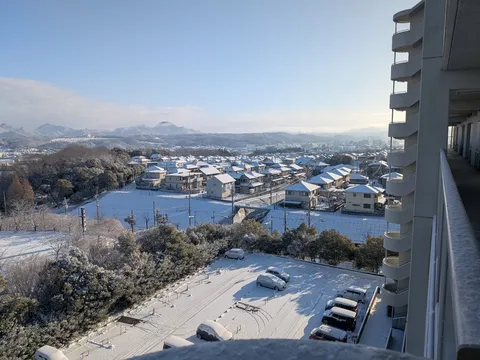 新雪が街を白く染めた朝
