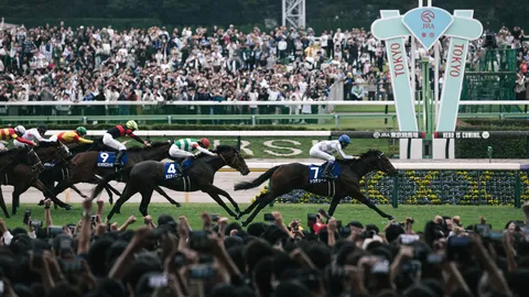 風を切る馬、観衆の熱狂