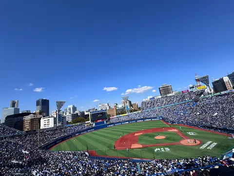 青空の下、白熱の野球観戦
