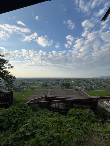 見下ろす広大な田園風景
