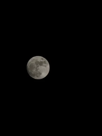 夜空に浮かぶ月、孤独な存在感