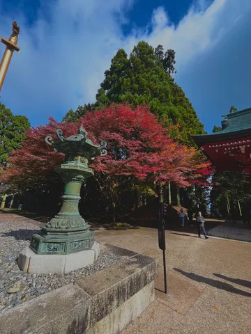 秋色に染まる古刹の灯籠