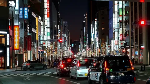 光が彩る大通りの夜