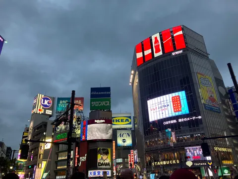 光が彩る都会の鼓動