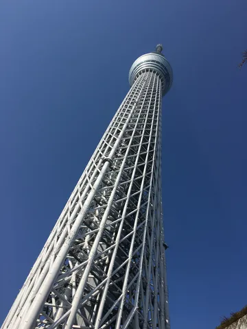 空へ伸びる鉄骨の道