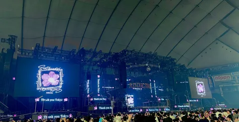 花と光が踊る夜の舞台