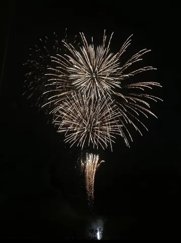 夜空を彩る光の粒