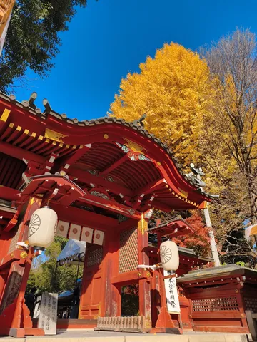 黄金のイチョウと朱色の屋根