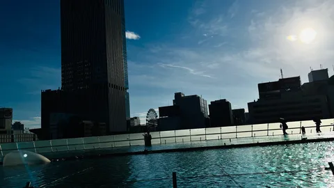 水辺に映る都会のきらめき