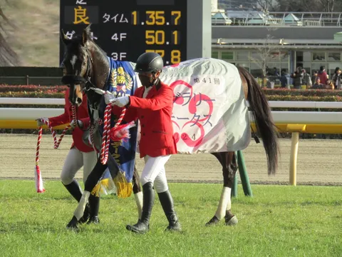 勝利への凱旋、競走馬とジョッキー