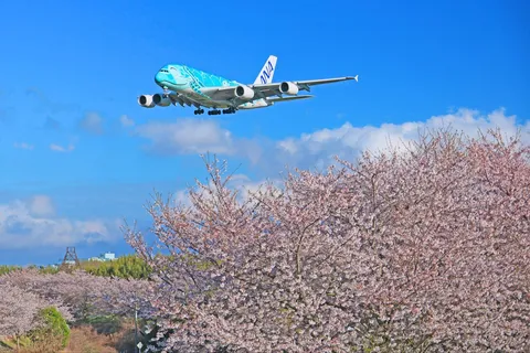 春空を駆ける青い巨鳥